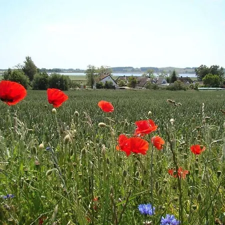 Bella Comfortable Holiday home Binz